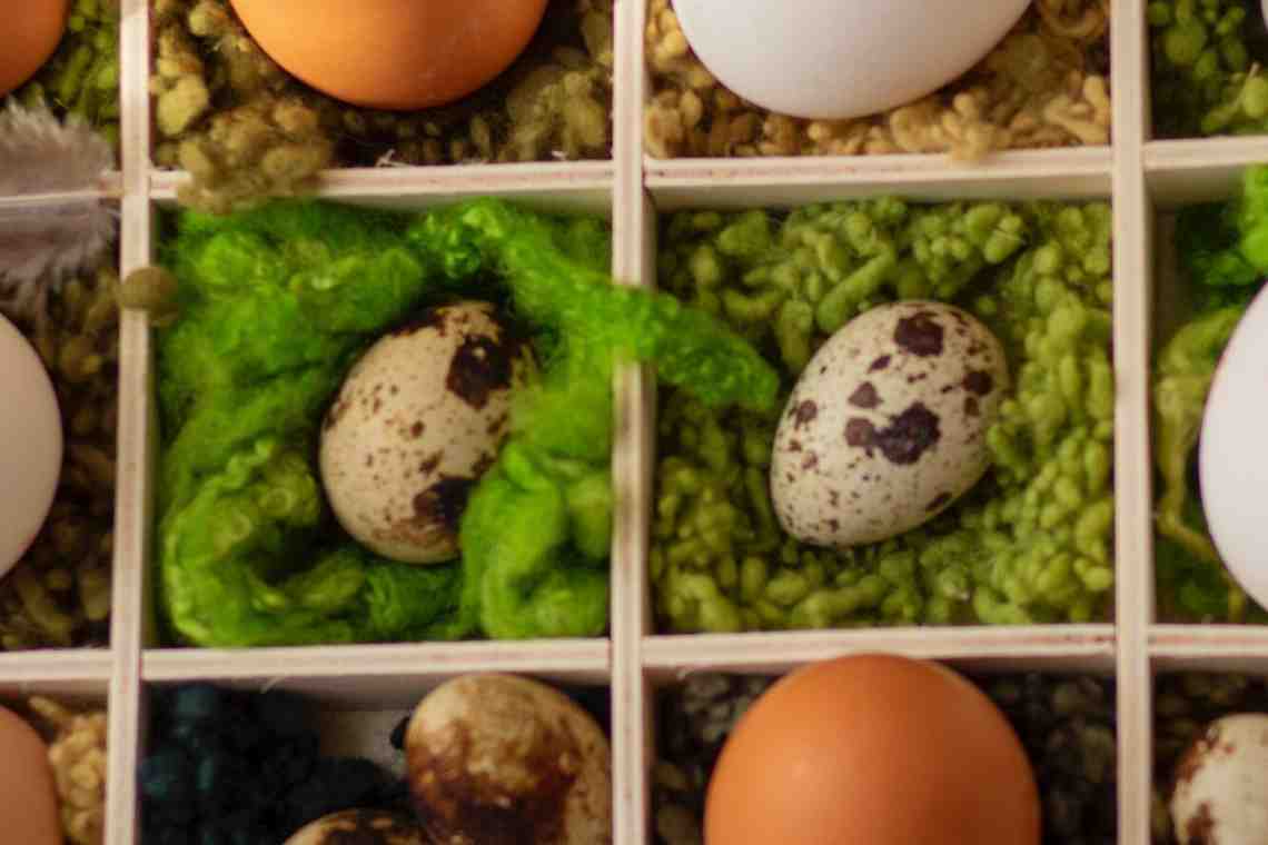 Какие витамины в яйцах куриных и перепелиных содержатся?