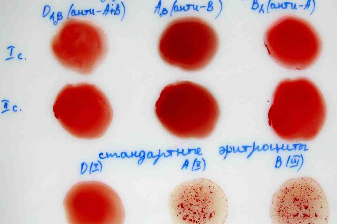 Третья группа крови: особенности и характеристики