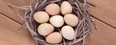 Диетические и гипоаллергенные яйца цесарки: польза и вред, особенности применения и противопоказания