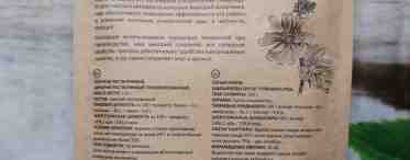 Можно ли пить цикорий на ночь: влияние на организм, польза и вред, рецепт приготовления