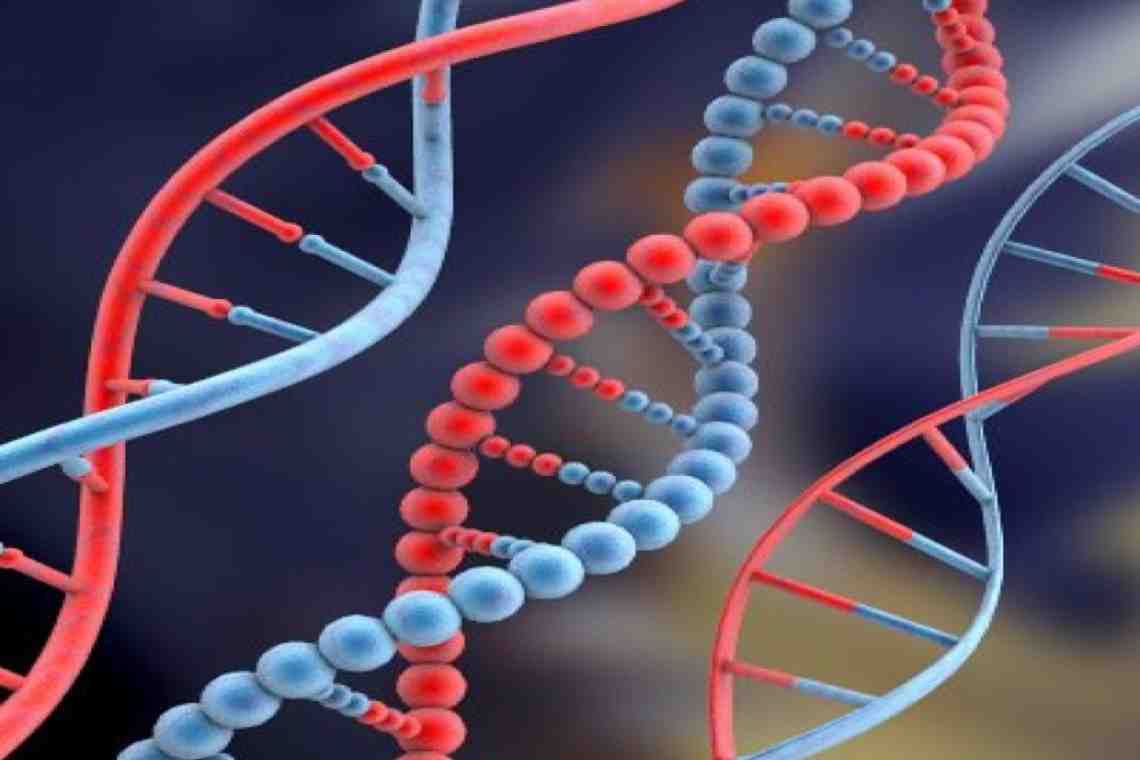 Генетическая информация: рецессивный и доминантный гены