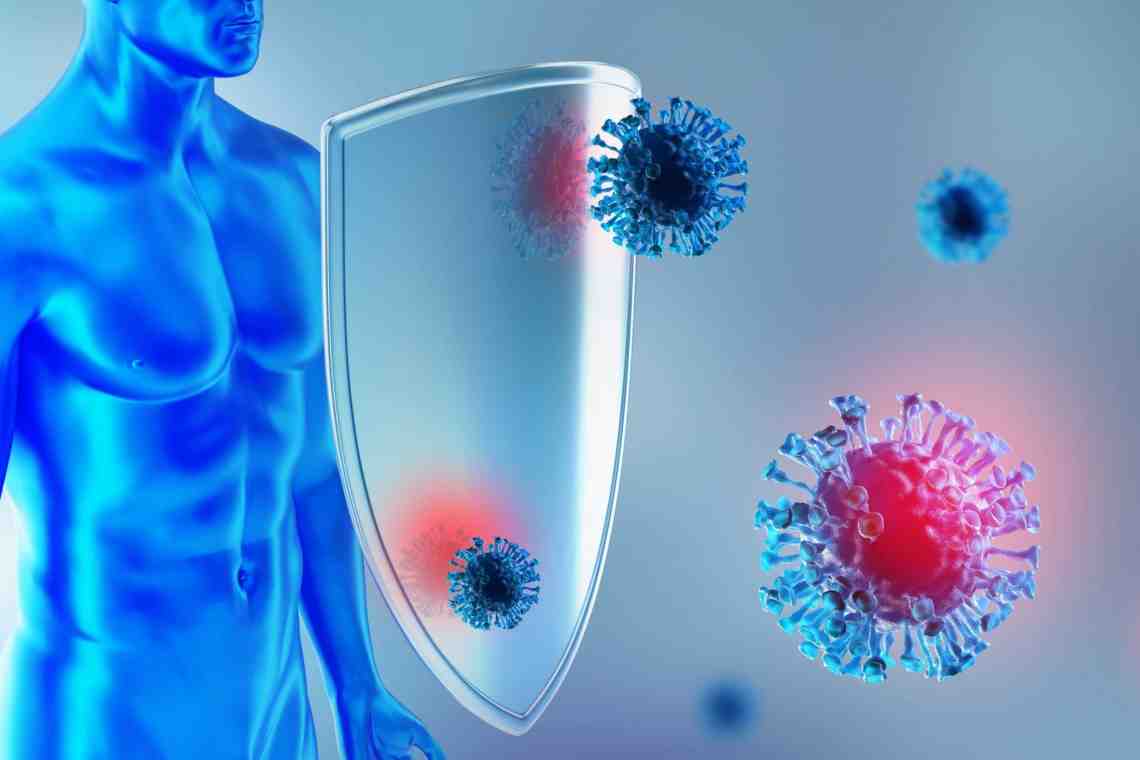 Что такое иммунная система человека? И зачем она нужна?