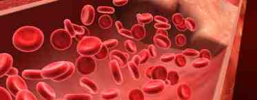 Факторы свертывания крови и их роль