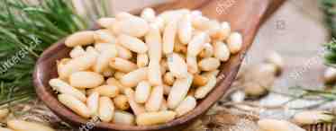 Кедровые орехи: химический состав, калорийность, витамины и микроэлементы. Польза и вред кедровых орехов