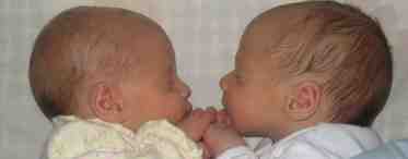 Какова вероятность рождения близнецов? От чего зависит рождение близнецов?