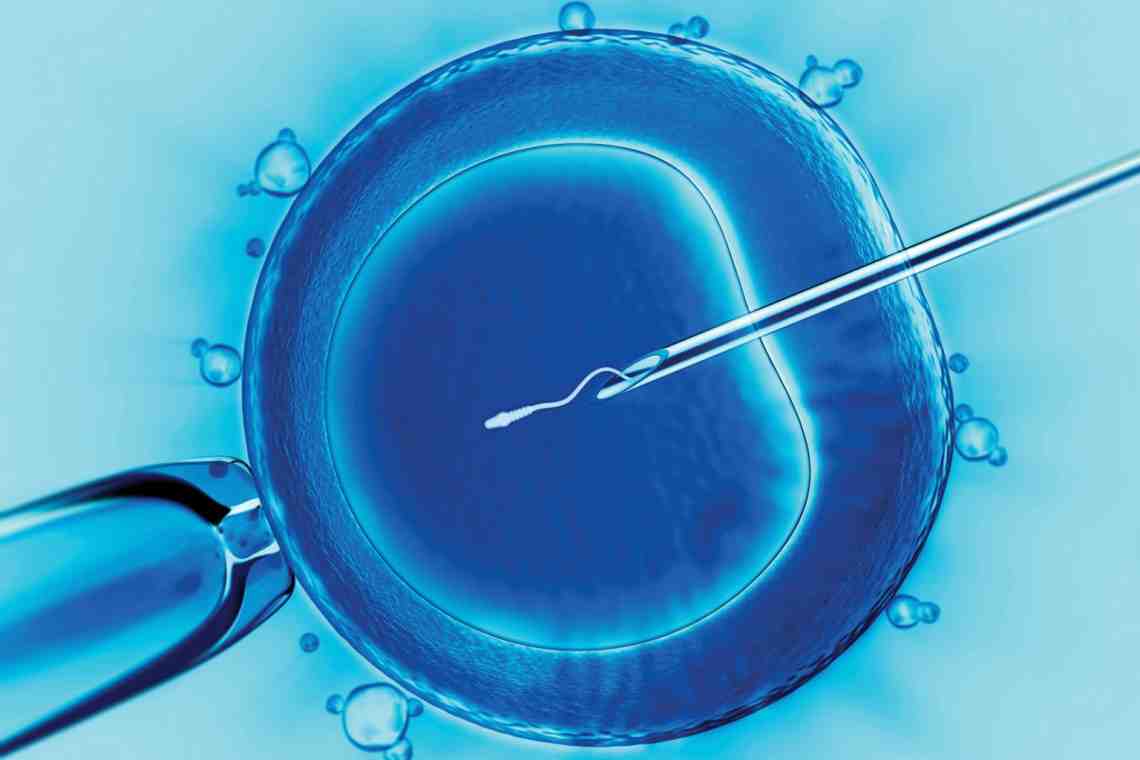 Оплодотворение яйцеклеток: особенности естественного и искусственного способа