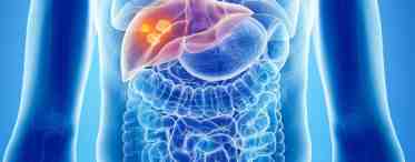 Желудок и кишечник: функции, заболевания, диагностика и методы лечения