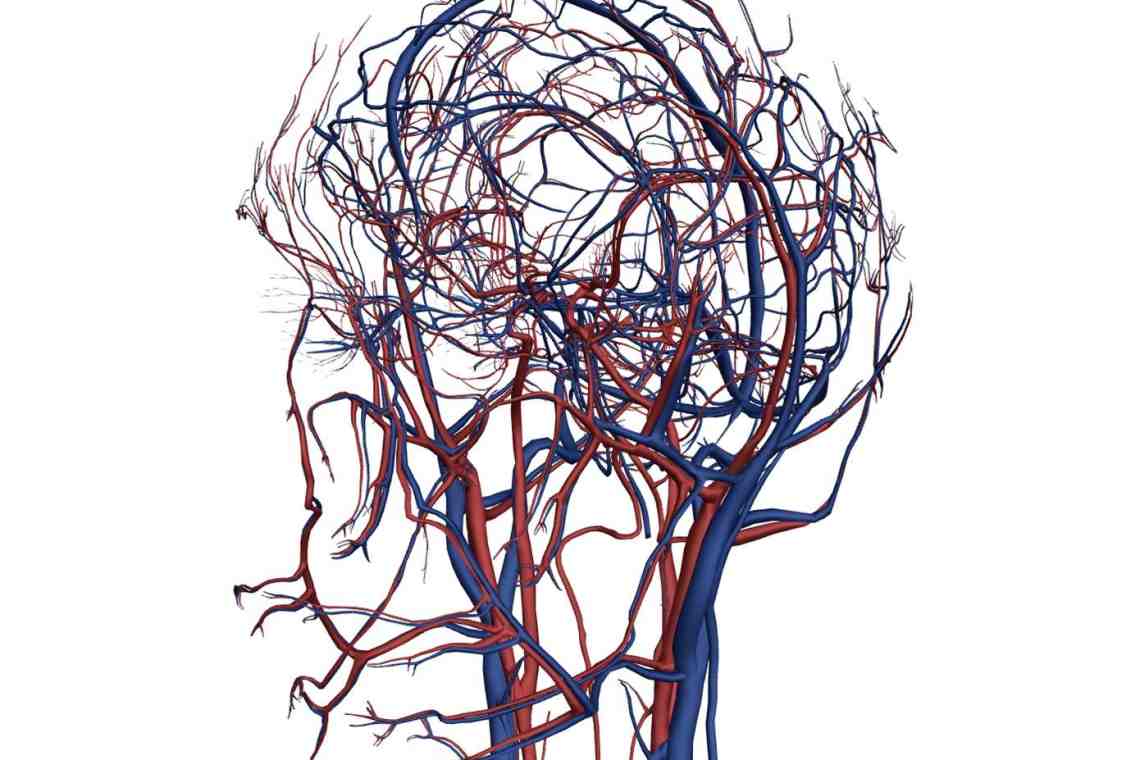 Церебральная ангиография сосудов головного мозга: показания и отзывы