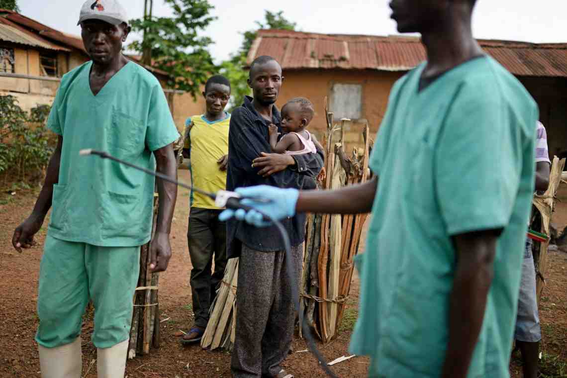 Лихорадка Эбола: описание болезни