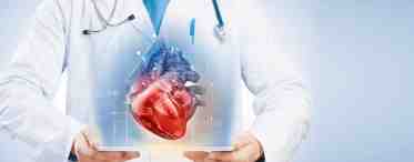 Сердечные черви: диагностика, причины, лечение