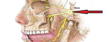 Невралгия тройничного нерва: лечение медикаментозное и народные методы