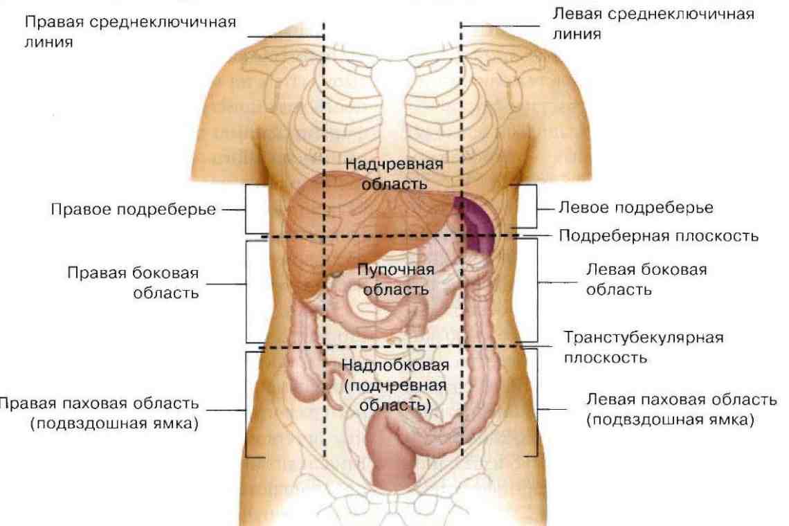 что может болеть справа под грудью у женщины фото 60