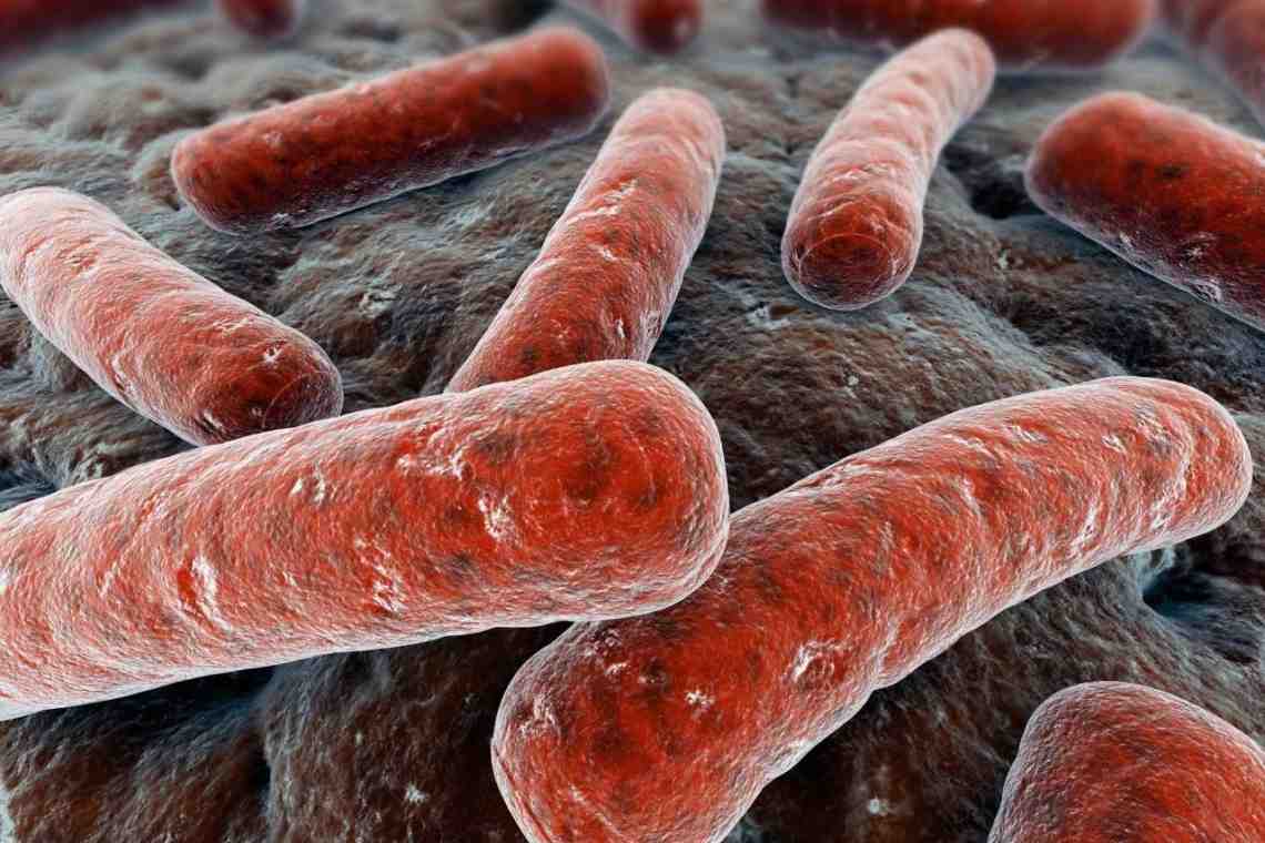 Чем опасна бактериальная инфекция?