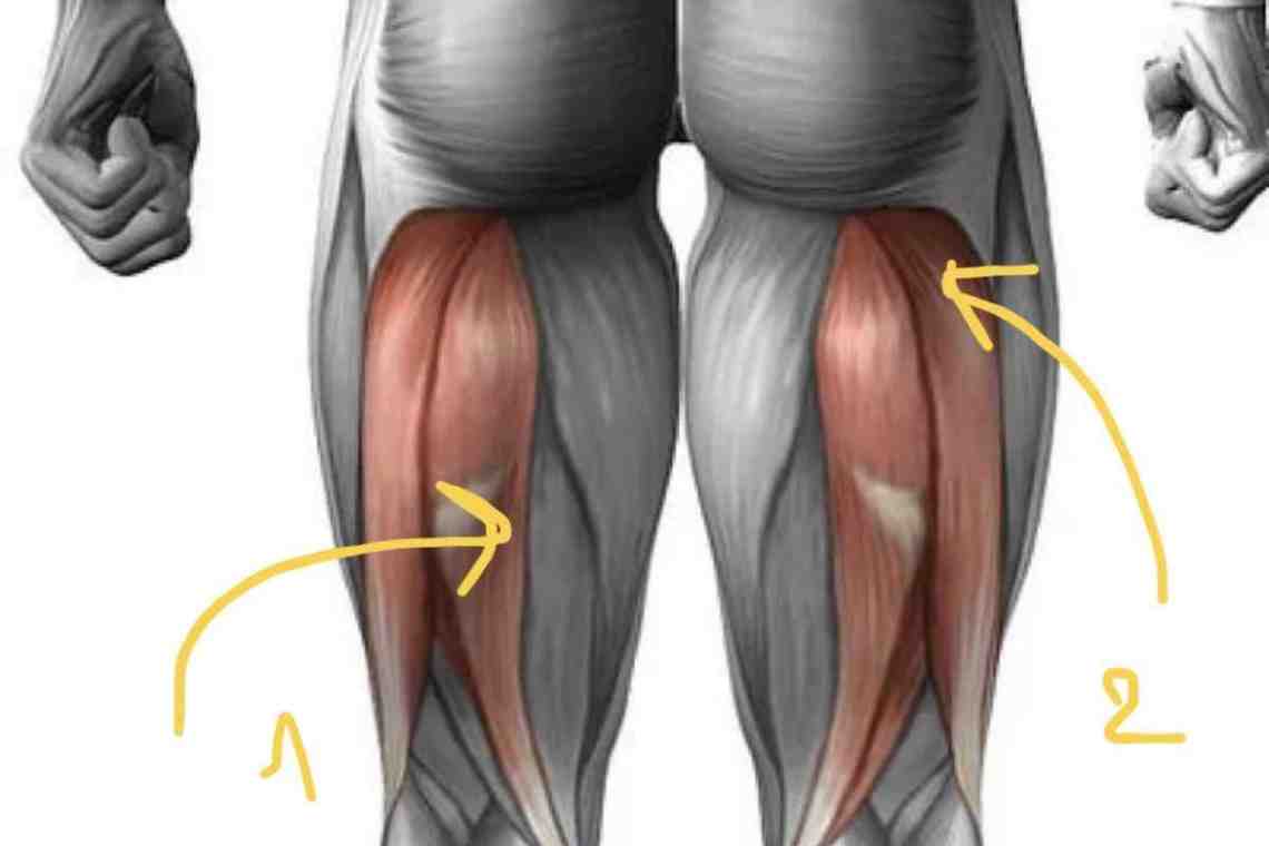 Травма мышцы задней поверхности бедра: симптомы и лечение