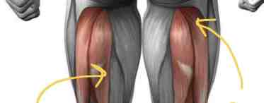 Травма мышцы задней поверхности бедра: симптомы и лечение