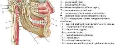 Возвратный гортанный нерв, симптомы повреждения и пареза