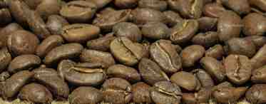 Колумбийский кофе: обзор, лучшие сорта