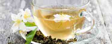 Почему зеленый чай с жасмином стоит пить каждый день: 10 преимуществ