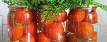 Как вкусно мариновать помидоры на зиму?