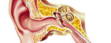 Воспаление евстахиевой трубы: лечение и причины