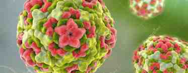 Вирусы Коксаки - основная причина асептического менингита