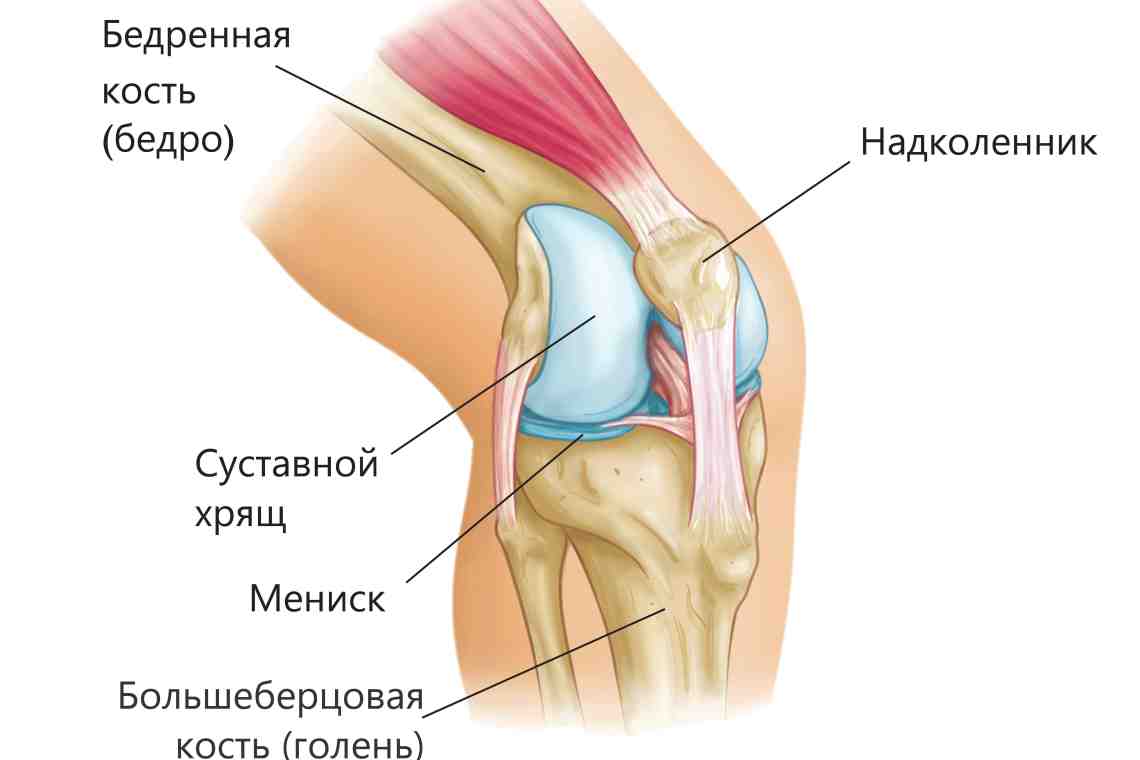 Разрывы связок коленного сустава