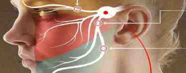 Лицевой нерв: своевременное лечение патологии