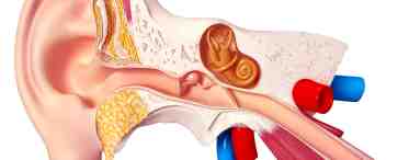 Заболевания среднего уха: описание, причины и особенности лечения