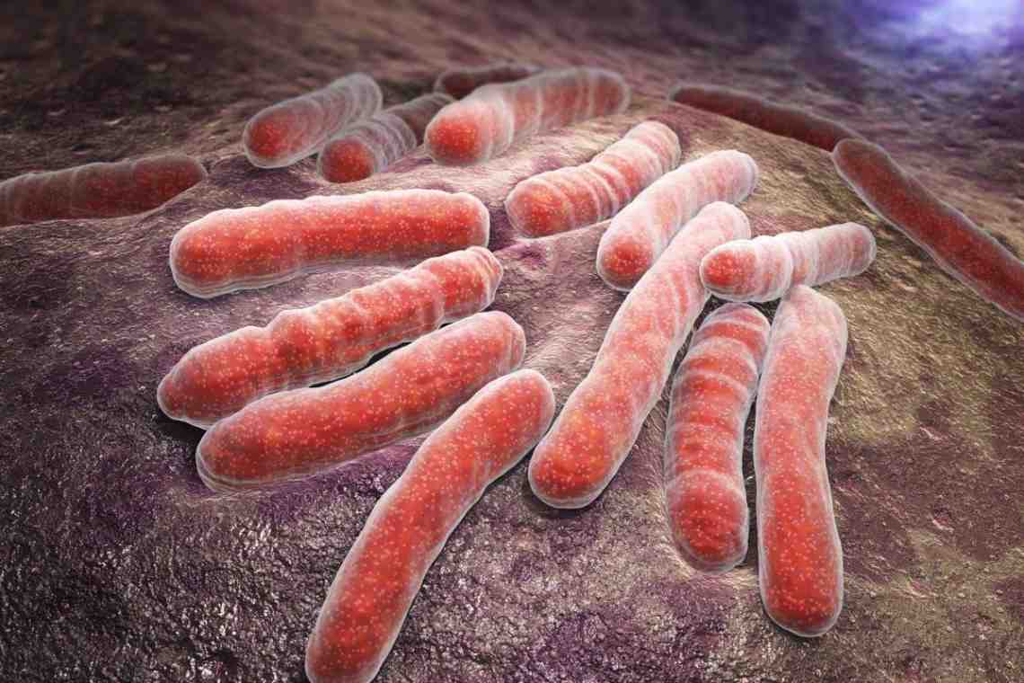 Палочка туберкулезная: сколько живет, как передается? Что такое туберкулез?