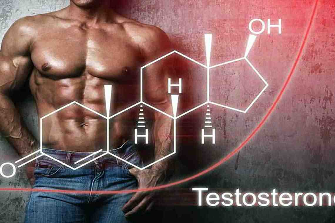 Тестостерон и эстроген: выполняемые функции, норма, нарушение гормонального фона, лечение и консультация эндокринолога