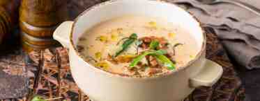 Грибной суп сырный: рецепты для вкусного и питательного обеда
