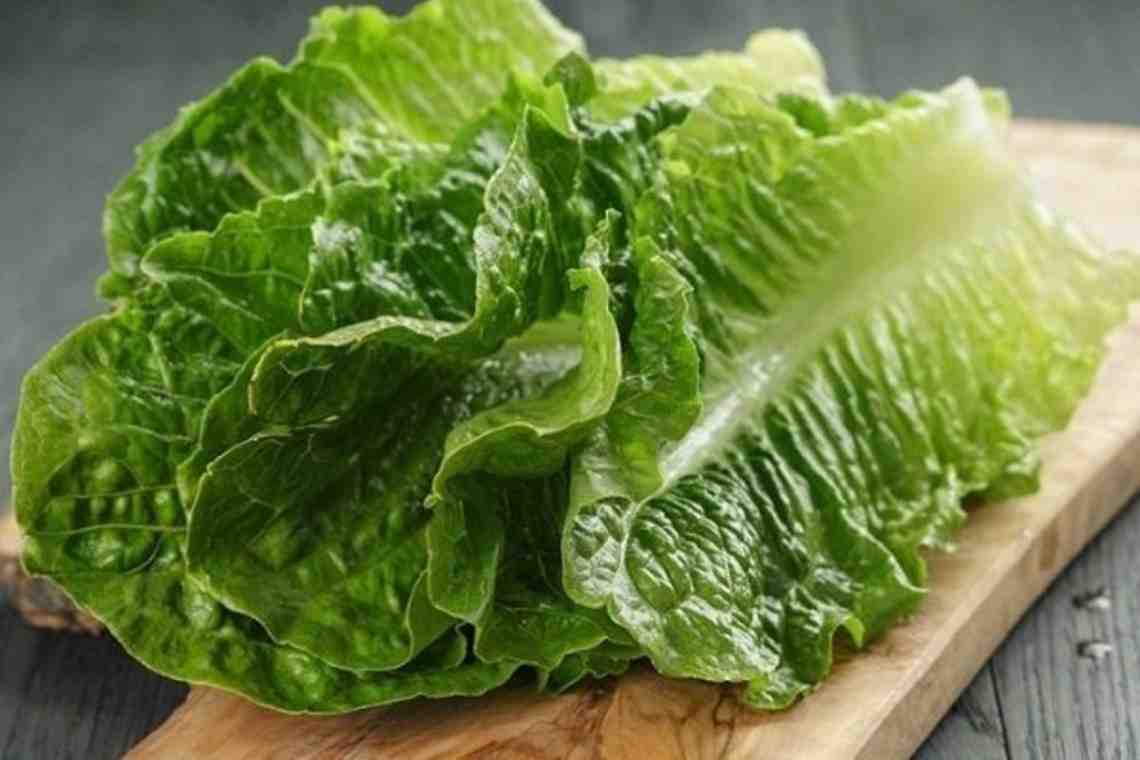 Листовой салат: виды и польза