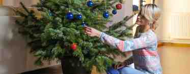 Когда нужно убирать новогоднюю елку?