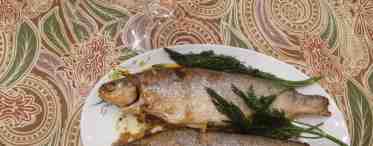 Рыба сиг - рецепты приготовления: запеченный в духовке, жареный. Как солить сига