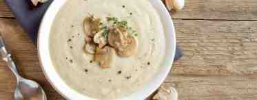 Вкусный грибной соус из шампиньонов со сметаной: рецепты, особенности приготовления и отзывы