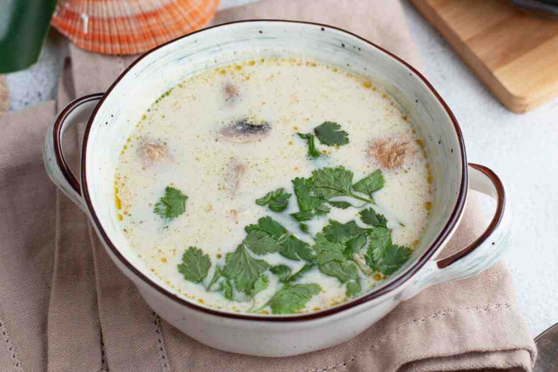 Суп с кокосового молока: особенности приготовления, состав и отзывы
