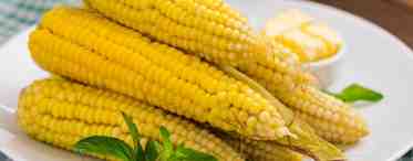Как правильно выбирать и варить кукурузу в початках?