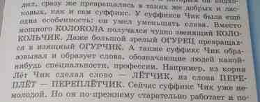 Заимствованные слова в русском языке: особенности употребления и примеры