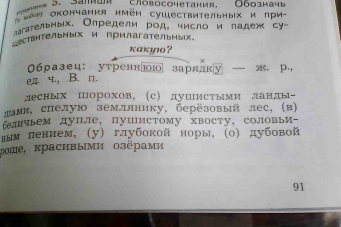 Имя существительное в русском языке: определение, падежи, число, формы