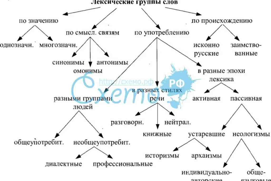 Лексика 3 примера. Лексические группы. Лексика группы слов. Группы лексики в русском языке. Группы лексики таблица.