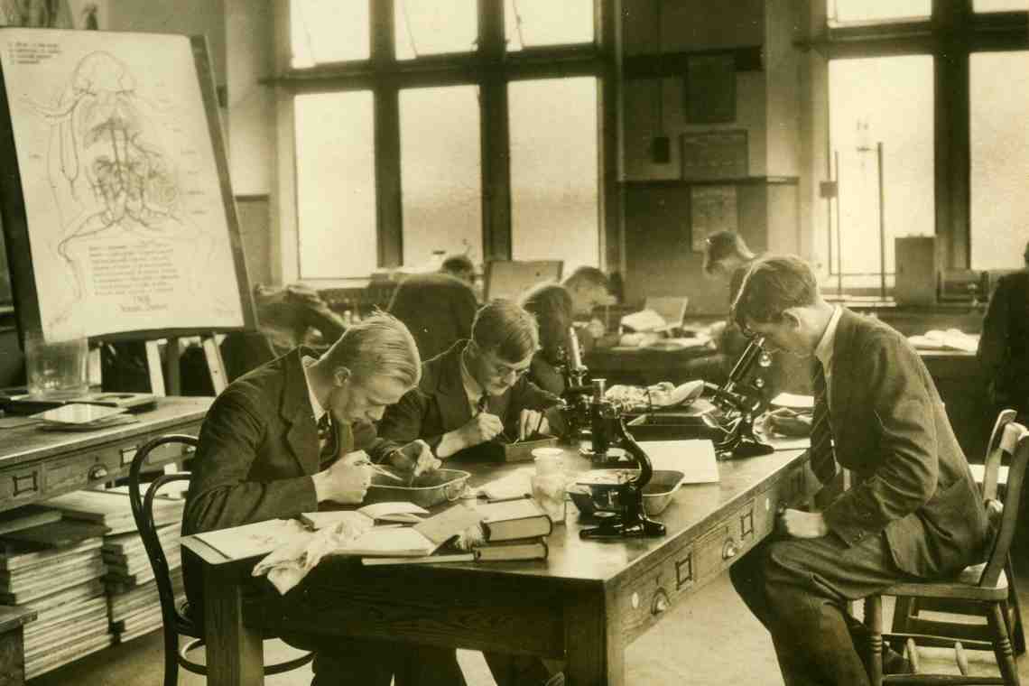 Великобритания школы 20 век