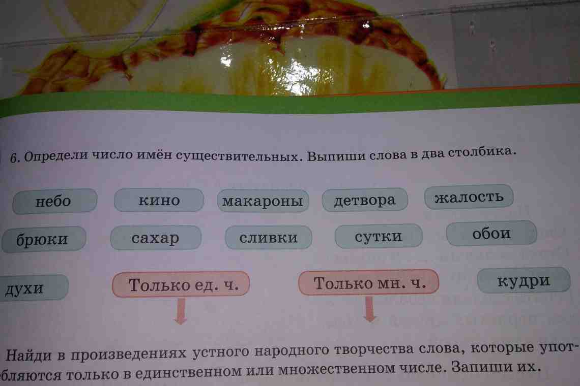 Множественное число имен существительных в русском языке