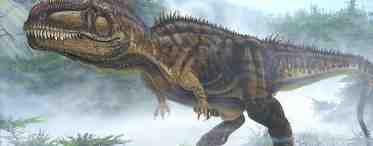 Хищные динозавры - тероподы: описание, образ жизни