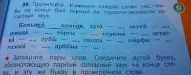 Парные согласные звуки в русском языке