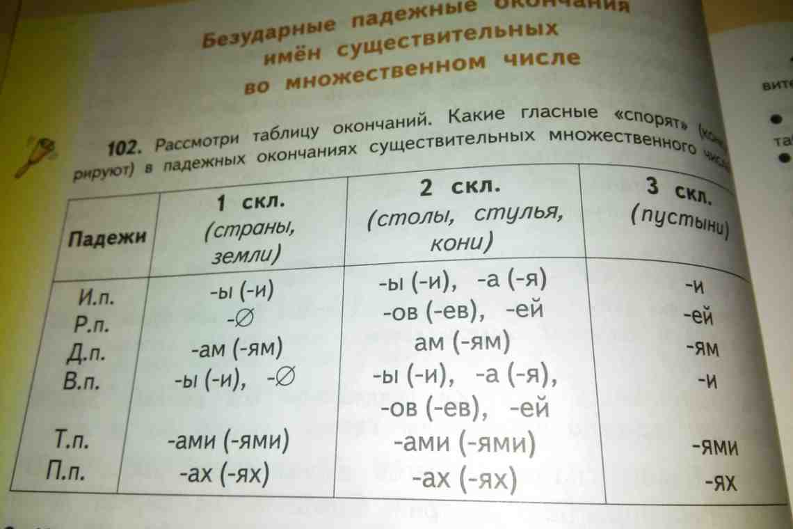 Местоимения третьего лица в русском языке: правила, примеры