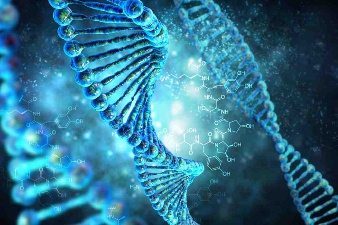 DNA — что это такое?