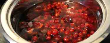 Компот из замороженных ягод в мультиварке: рецепты, советы по приготовлению