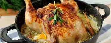 Рецепт приготовления курицы в духовке — особенности, рекомендации