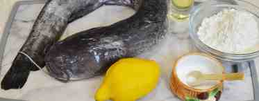 Рецепт сома. Как приготовить вкусную рыбу