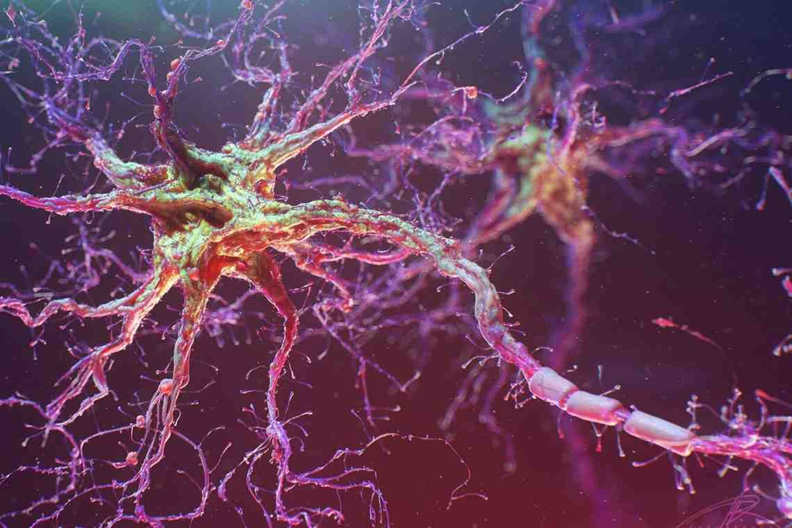 Нейрогенез. Восстановление клеток мозга